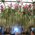 IMG_1632