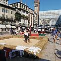 IMG_5129