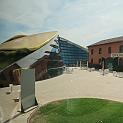 IMG_5449