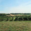 IMG_5481