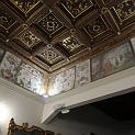 IMG_5511