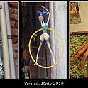 IMG_6058-composite
