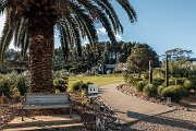 IMG_8870a_Heke Waiheke