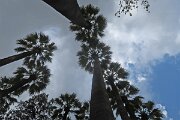 IMG_1545