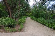IMG_1546