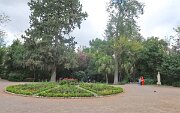 IMG_1547