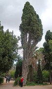 IMG_1553a