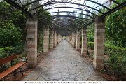 IMG_1556a
