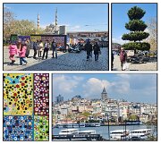 IMG_3264d3-composite