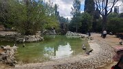 img_1550a_121341