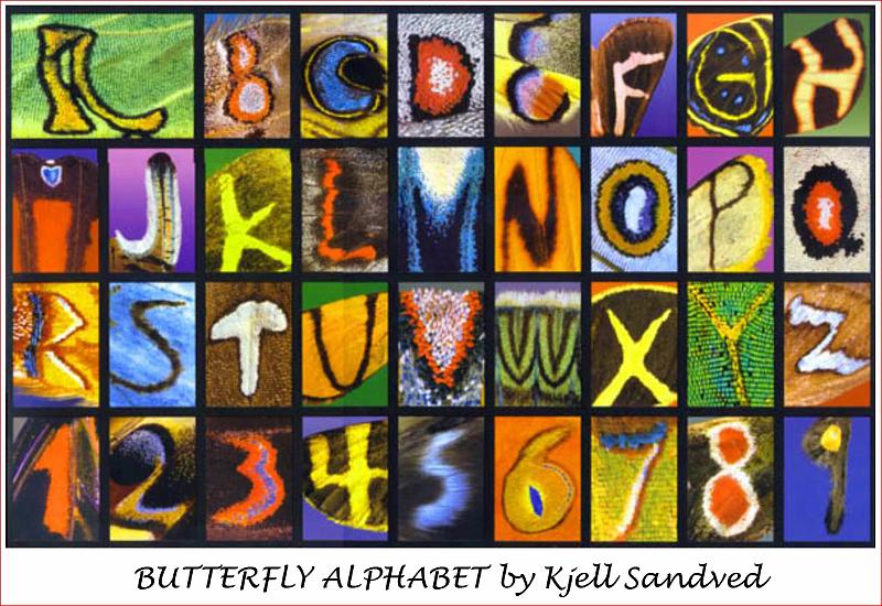 butterfly_alphabet