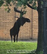 img_3279_174443